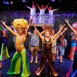 Priscilla Queen of the Desert @ No Square Theatre - Review image-1785217149-1